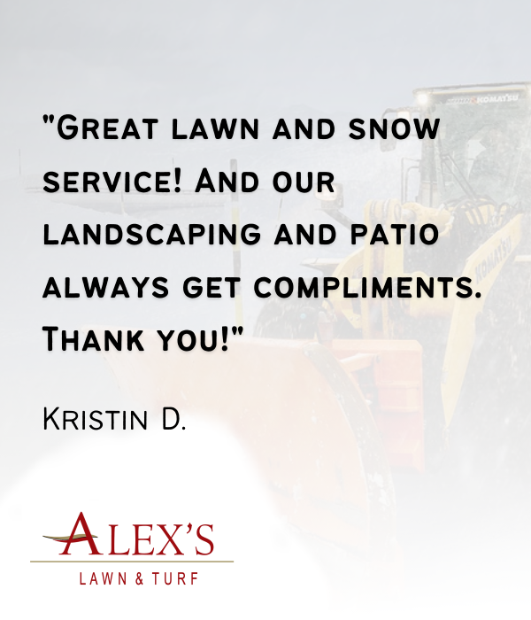 Alexs-Lawn-Turf-reviews