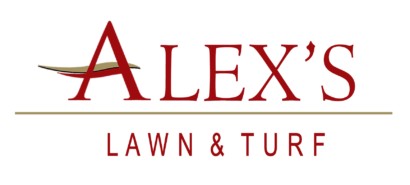 Alex's Logo